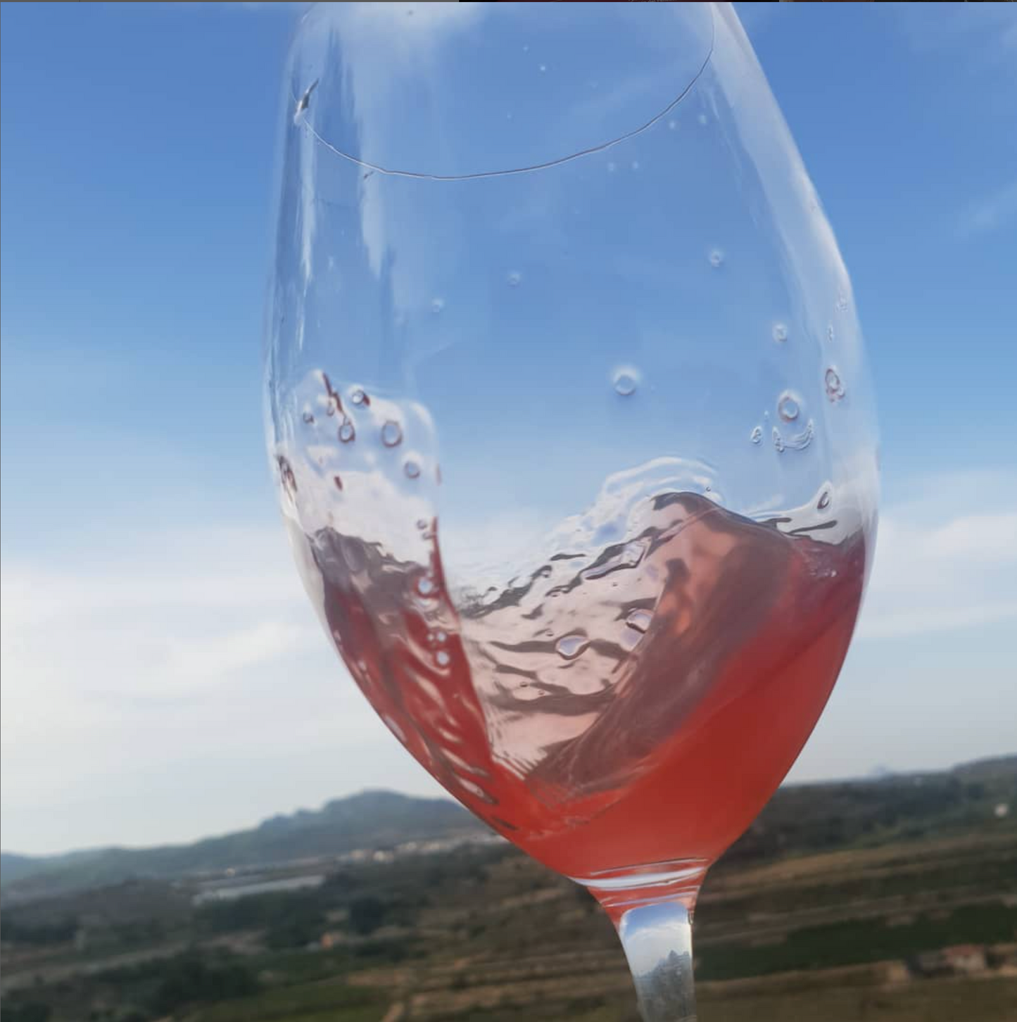 Prohom Conceptia Rosét Eco 2023