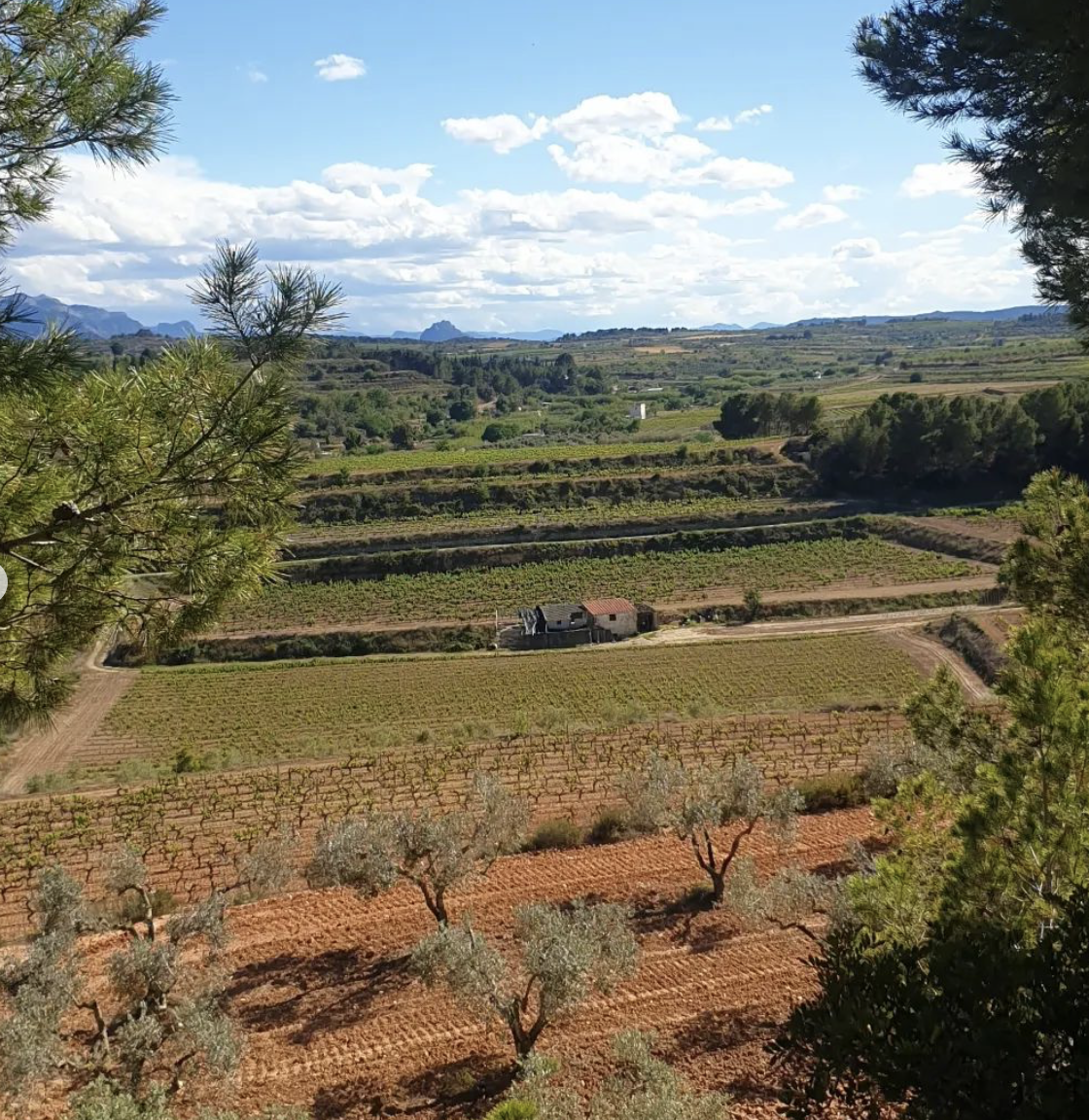 PROHOM EXPERIENTIA blanc Eco 2023