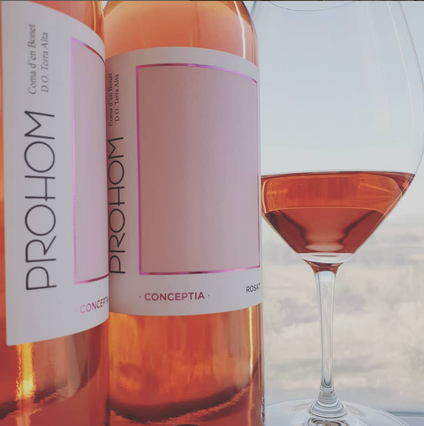 Prohom Conceptia Rosét Eco 2023
