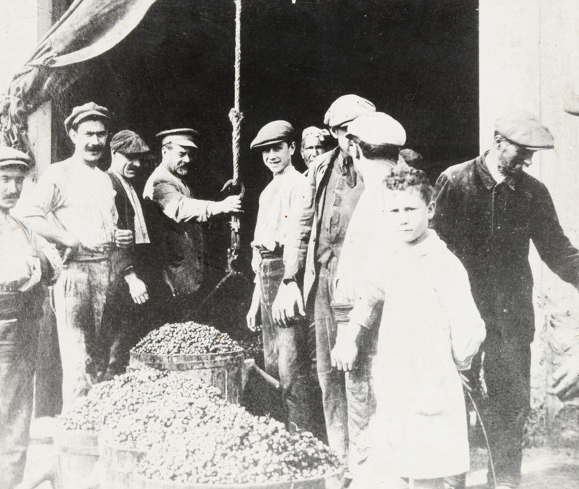 Cooperativa Falset Marçà - Ètim